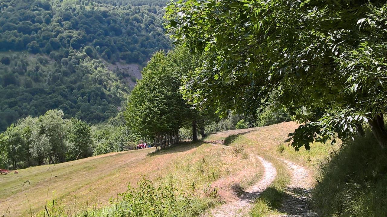 Hotel Dell' Olmo Ormea Kültér fotó